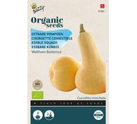 Buzzy Organic Courge comestible Waltham Butternut - Graines biologiques - Env. 2 gr | Buzzy_92983