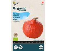 Buzzy Organic Courge Uchiki Kuri - Graines- Env. 1,75 gr | Buzzy_92488