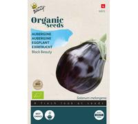 Buzzy Organic Fruit à œufs Black Beauty - Graines- Env. 0,15 gr | Buzzy_92072