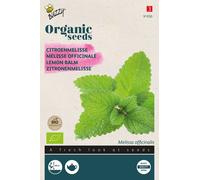 Buzzy Organic Mélisse citronnelle - Graines- Env. 0,25 gr | Buzzy_91050