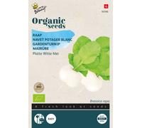 Buzzy Organic Navet plaque Witte Mei Blanc hollandais - Graines- Env. 3 gr | Buzzy_92590