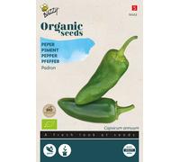 Buzzy Organic Poivre de Padron - Graines- Environ 0,15 gr | Buzzy_92452