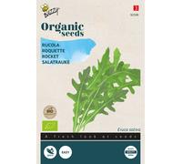 Buzzy Organic Roquette - Graines- Env. 3 gr | Buzzy_92599