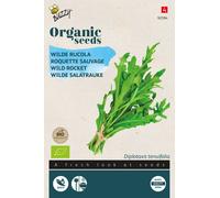 Buzzy Organic Roquette sauvage - Graines- Environ 0,6 gr | Buzzy_92594