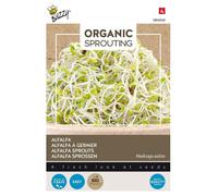 Buzzy Organic Sprouting Luzerne - Graines- Env. 30 gr | Buzzy_084040