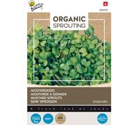 Buzzy Organic Sprouting Moutarde germée - Graines biologiques - Env. 30 gr | Buzzy_084050