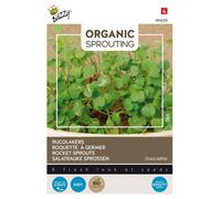 Buzzy Organic Sprouting Roquette - Graines- Env. 30 gr | Buzzy_084058