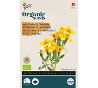 Buzzy Organic Tagètes épicées - Graines- Env. 0,2 gr | Buzzy_94733