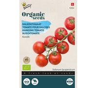 Buzzy Organic Tomate buisson Koralik - Graines- Env. 10 graines | Buzzy_92856