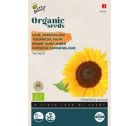 Buzzy Organic Tournesol bas Sunspot - Graines- Environ 3 gr | Buzzy_94346
