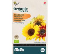 Buzzy Organic Tournesol Compact Spray Mélange - Graines- Environ 1 gr | Buzzy_94348