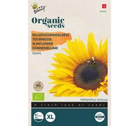 Buzzy Organic Tournesol géant - Graines- Environ 3 gr | Buzzy_94342
