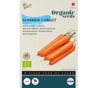 Buzzy Seeds 92935 Carotte d'été Nantes 2 (graines de carotte BIO)