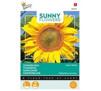 Buzzy Sunny Flowers Tournesol Henri Wilde