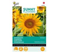 Buzzy Sunny Flowers Tournesol Irish Eyes Graines - Environ 1 gr | Buzzy_080826