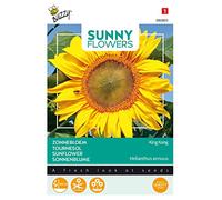 Buzzy Sunny Flowers Tournesol King Kong