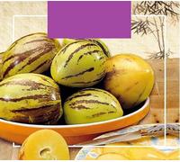 Buzzy Xotica Pepino Ampoule melon