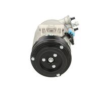 BV PSH 090.135.029.200 Compresseur, climatisation pour OPEL,VAUXHALL