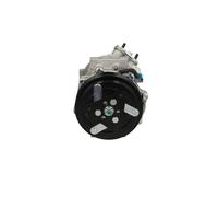 BV PSH 090.135.052.876 Compresseur, climatisation pour CADILLAC,OPEL,SAAB,VAUXHA