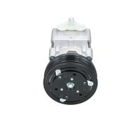 Compresseur, climatisation BV PSH 090.595.006.020 FORD 1018497 1018797 1035431