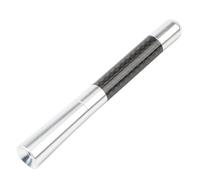 BVCFRDQ Antenne Voiture, pour Audi RS3 RS4 RS5 RS6 RS7 RS8 RSQ3 RSQ8 Accessoires pour Voitures, avec Fonction de Réception FM/AM Puissante,B