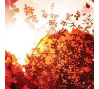 Bvdub - All is Forgiven [Import]