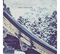 Bvdub & Netherworld - Equilibrium