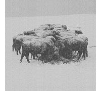 Bvdub - Ten Times The World Lied [Import]