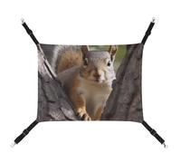 BVKWNTSA Convient pour toutes les saisons ! Hamac en toile imprimé écureuil dans l'arbre pour animal domestique, lit suspendu pour chat et chien, respirant et confortable, essentiel