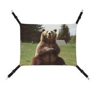 BVKWNTSA Convient pour toutes les saisons ! Hamac en toile imprimé Hi Bear assis sur la pelouse pour animal domestique, lit suspendu pour chat et chien, respirant et confortable