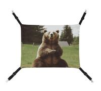 BVNMT Hi Bear Hamac en toile imprimée Sit on The Lawn pour animaux de compagnie - Respirant et pliable pour chats, chiens et petits animaux de compagnie - Idéal pour la maison, les voyages et