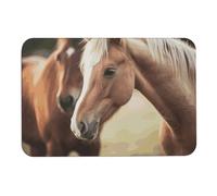 BVNMT Tapis absorbant l'eau adorable cheval imprimé antidérapant tapis de sol diatomée tapis de boue pour intérieur et extérieur 60 x 40 cm