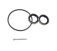 BVNZUFH Kit de Joints de Carter d'engrenage inférieur avec Joint torique 0310600 0765593 for OMC Cobra 0330137 0321463 0321668 0313398 0777519 18-2001