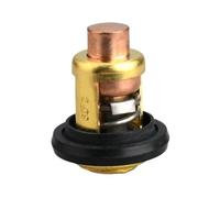 BVNZUFH Thermostat 60 °C for Moteur Hors-Bord Marin 19300-ZW9-003 19300-ZY3-023 8 CV, 9,9 CV, 15 CV - 225 CV 19300ZY3023 19300ZW9003