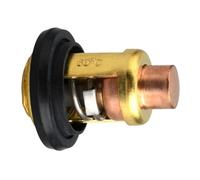 BVNZUFH Thermostat 66M-12411-00 for Moteur Hors-Bord 4 Temps F 40 50 60 80 100 CV 66M-12411-01 66M-12411