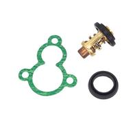 BVNZUFH Thermostat avec Joint for Moteur Hors-Bord 4 Temps F4A, F4B, F5A, F6C, 66M-12411-01 et 6G8-12411-02