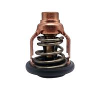 BVNZUFH Thermostat for Moteur Hors-Bord 150 175 200 CV 6DA-12411-00 6DA-12411-01 6DA-12411-01-00