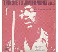 BW3031 LP Tribute To Jimi Hendrix Vol 3 VINYL