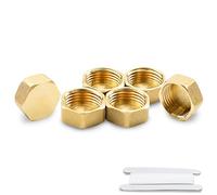Bwintech 6 pièces 1/4 "femelle BSP filetage laiton femelle capuchon hexagonal douille tuyau bouchon raccords connecteur pour tuyau connexion Conversion