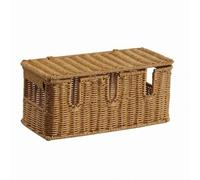 BWOFJGWH Organiseur de Câbles de Bureau Boîte à Câbles boîte Multiprise Panier Rotin en Plastique PE avec Couvercle pour Fils et Accessoires de Recharge, Cinq Ouvertures - Trou Latéral, Grande Taille
