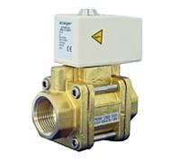 BWT Aquastop 11826 2000 ", DN 25, avec capteur d'humidité