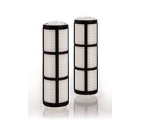 BWT élément filtrant 10386, 2-pack pour BWT E1 Einhebelfilter