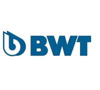 BWT Élément filtrant pour filtre de protection module DN20 - 32, 10994E