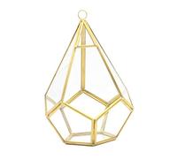 Bwuikim Étagère en verre à 5 côtés en forme de losange géométrique pour plantes grasses terrarium convient pour la décoration de bureau Grand pot de fleurs transparent en mousse