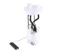 BWZJS Ensemble de pompe à carburant, for GREAT WALL, for Haval, moteur essence H6 2.0T GW4C20 4C20NT 2018 - 2022 Pompe à carburant moteur