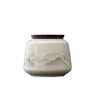 Bx9rE7tK3g Pot de rangement de cuisine Ceramic Small Tea Canister With Sealed Lid Household Kitchen Storage Jar For Coffee Sugar, Nuts, Spice Boîte à thé en céramique