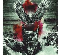 By a Storm – Beware of the Underdogs – Vinyle – Broken Silence