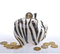 By de Bers möchtegern de Tirelire, Très Belle main en céramique en fraise, Zebra, Tigre, pastèque, coccinelle, épis de maïs, léopard, carotte (Zébré)