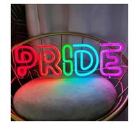 BYAMBD Décor Mural Lumière Panneau Lumineux Vibrant Avec Lettres De Fierté Colorées, Décoration Murale, Interrupteur D'alimentation USB, Contrôle Pour Une Utilisation Polyvalente, Néon