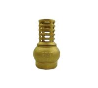 BYCIFRLG 1-1/2" BSP Female Thread Brass Check Valve Strainer Filter Bottom Valve Foot Valve for Water Oil Pump